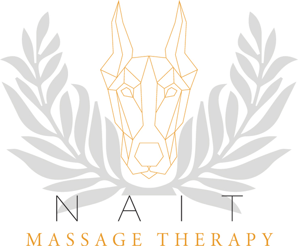 Nate's Assessment & Integrative Therapy