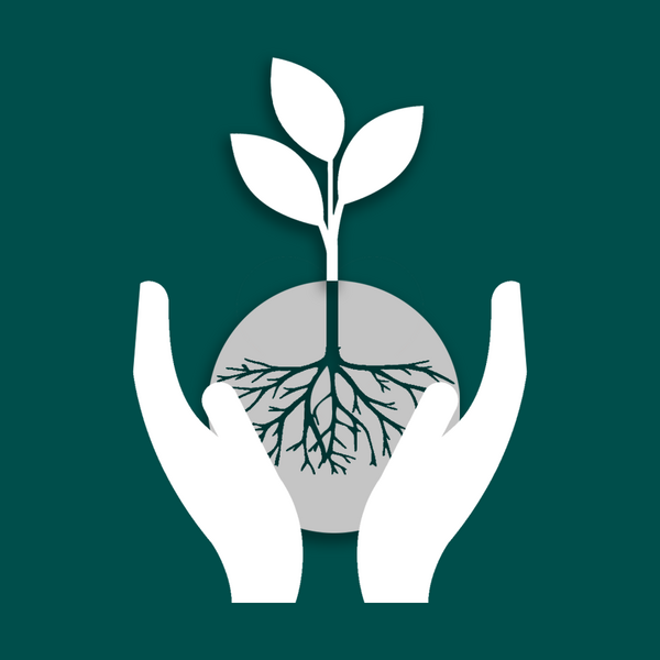 Roxy Archer Counselling