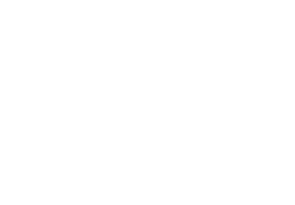 Root to Rise  