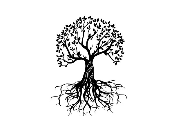 Healing In Headwaters Therapy
