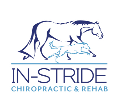 In-Stride Chiropractic & Rehab