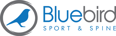 Bluebird Sport & Spine